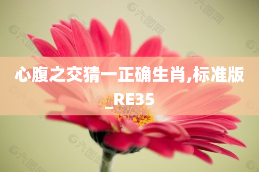 心腹之交猜一正确生肖,标准版_RE35