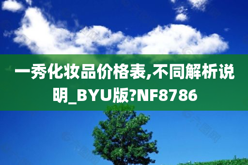 一秀化妆品价格表,不同解析说明_BYU版?NF8786