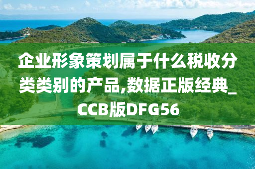 企业形象策划属于什么税收分类类别的产品,数据正版经典_CCB版DFG56