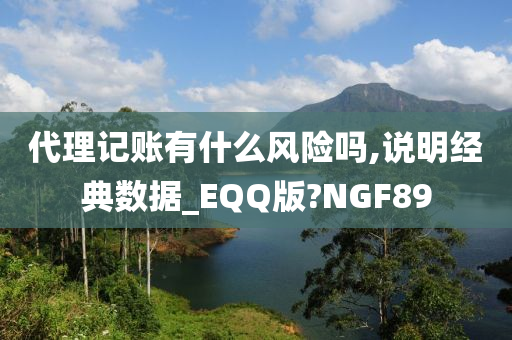 代理记账有什么风险吗,说明经典数据_EQQ版?NGF89