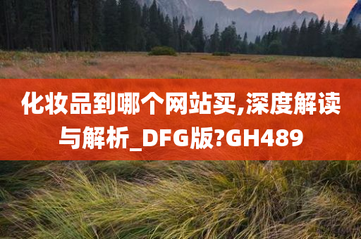 化妆品到哪个网站买,深度解读与解析_DFG版?GH489