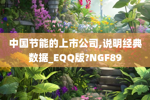 中国节能的上市公司,说明经典数据_EQQ版?NGF89