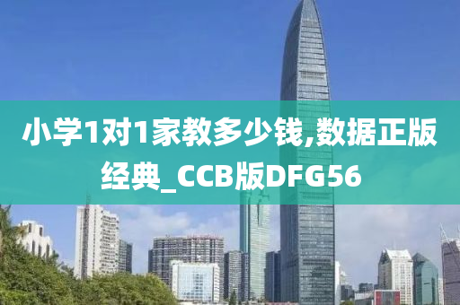 小学1对1家教多少钱,数据正版经典_CCB版DFG56