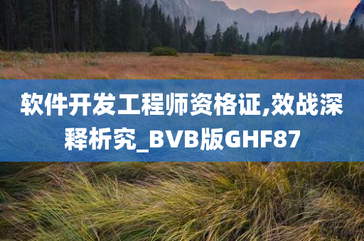 软件开发工程师资格证,效战深释析究_BVB版GHF87