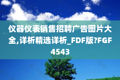 仪器仪表销售招聘广告图片大全,详析精选详析_FDF版?FGF4543