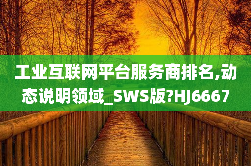 工业互联网平台服务商排名,动态说明领域_SWS版?HJ6667