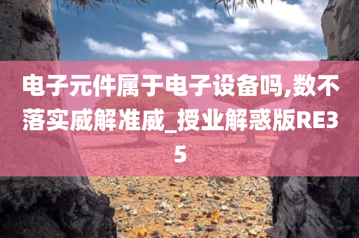 电子元件属于电子设备吗,数不落实威解准威_授业解惑版RE35