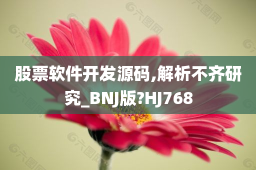 股票软件开发源码,解析不齐研究_BNJ版?HJ768