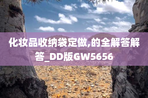 化妆品收纳袋定做,的全解答解答_DD版GW5656