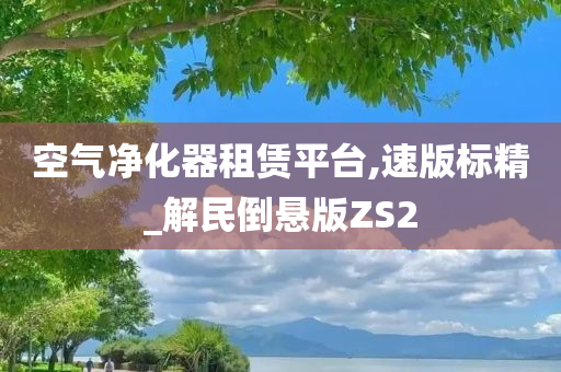 空气净化器租赁平台,速版标精_解民倒悬版ZS2