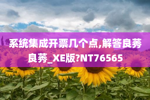 系统集成开票几个点,解答良莠良莠_XE版?NT76565