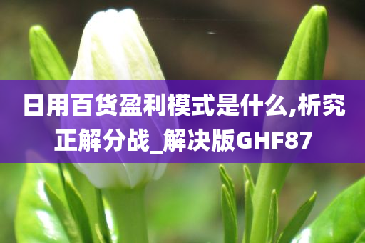 日用百货盈利模式是什么,析究正解分战_解决版GHF87