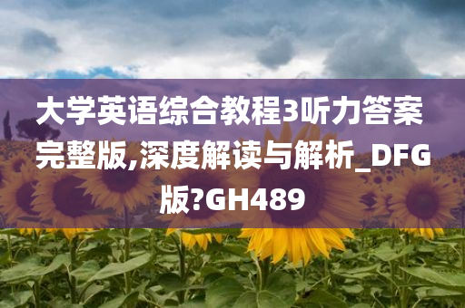 大学英语综合教程3听力答案 完整版,深度解读与解析_DFG版?GH489