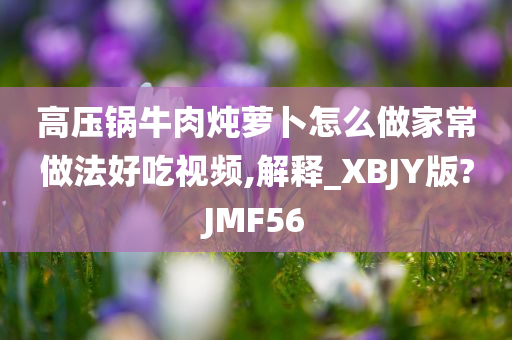 高压锅牛肉炖萝卜怎么做家常做法好吃视频,解释_XBJY版?JMF56