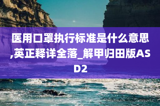 医用口罩执行标准是什么意思,英正释详全落_解甲归田版ASD2