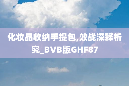 化妆品收纳手提包,效战深释析究_BVB版GHF87