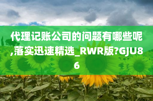 代理记账公司的问题有哪些呢,落实迅速精选_RWR版?GJU86