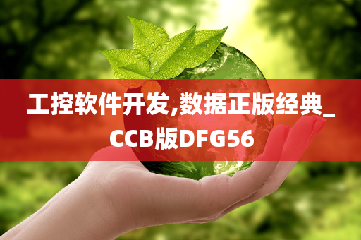 工控软件开发,数据正版经典_CCB版DFG56