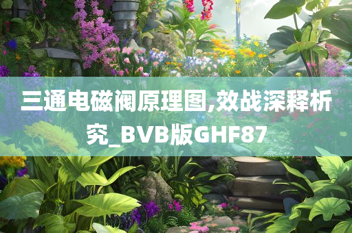 三通电磁阀原理图,效战深释析究_BVB版GHF87