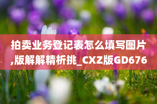 拍卖业务登记表怎么填写图片,版解解精析挑_CXZ版GD676