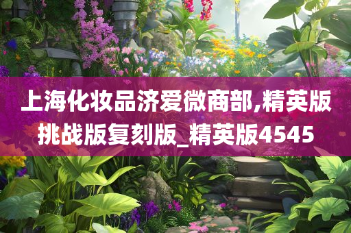 上海化妆品济爱微商部,精英版挑战版复刻版_精英版4545