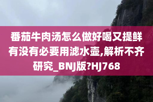 番茄牛肉汤怎么做好喝又提鲜有没有必要用滤水壶,解析不齐研究_BNJ版?HJ768