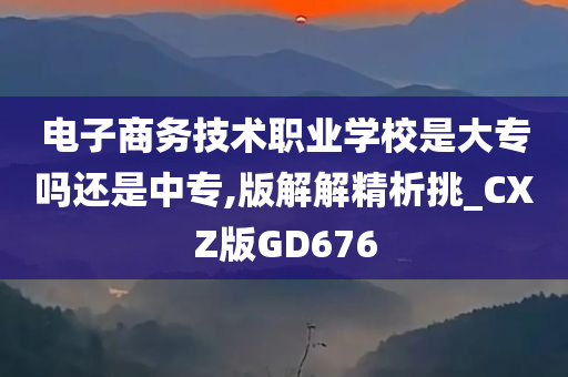 电子商务技术职业学校是大专吗还是中专,版解解精析挑_CXZ版GD676