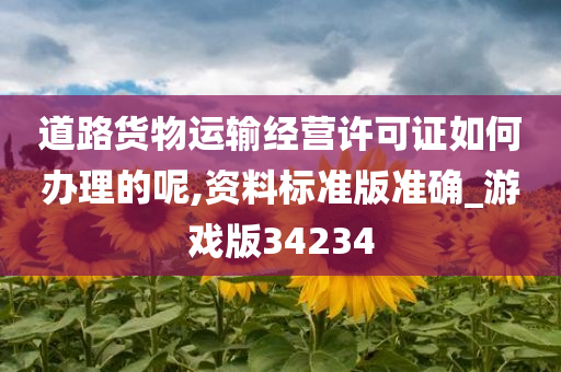 道路货物运输经营许可证如何办理的呢,资料标准版准确_游戏版34234