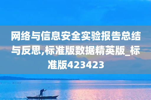 网络与信息安全实验报告总结与反思,标准版数据精英版_标准版423423