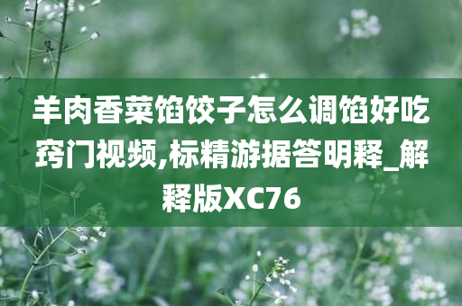 羊肉香菜馅饺子怎么调馅好吃窍门视频,标精游据答明释_解释版XC76