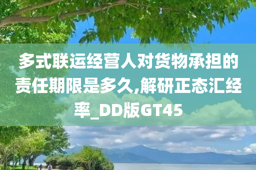 多式联运经营人对货物承担的责任期限是多久,解研正态汇经率_DD版GT45