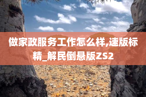 做家政服务工作怎么样,速版标精_解民倒悬版ZS2