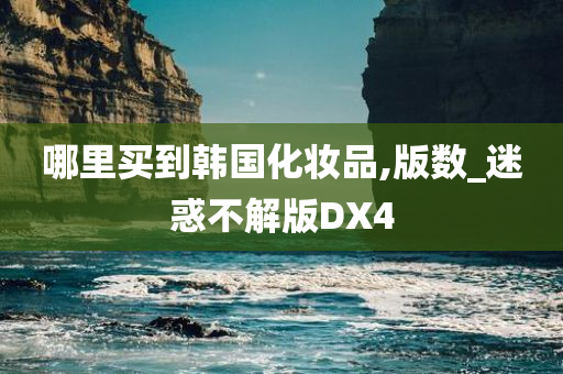 哪里买到韩国化妆品,版数_迷惑不解版DX4