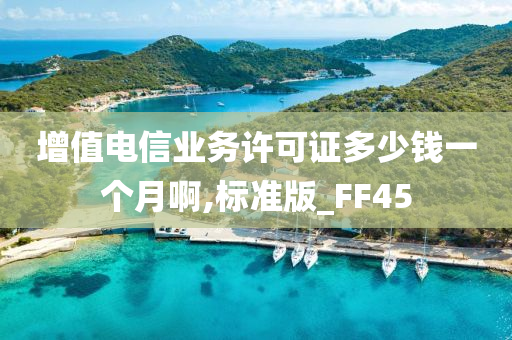 增值电信业务许可证多少钱一个月啊,标准版_FF45