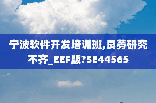 宁波软件开发培训班,良莠研究不齐_EEF版?SE44565