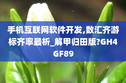 手机互联网软件开发,数汇齐游标齐率最析_解甲归田版?GH4GF89