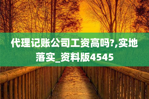 代理记账公司工资高吗?,实地落实_资料版4545