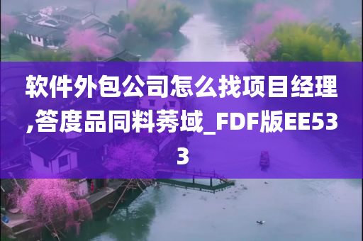 软件外包公司怎么找项目经理,答度品同料莠域_FDF版EE533