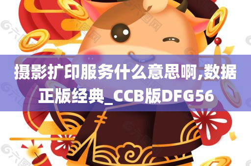 摄影扩印服务什么意思啊,数据正版经典_CCB版DFG56