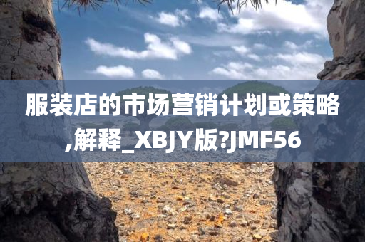 服装店的市场营销计划或策略,解释_XBJY版?JMF56