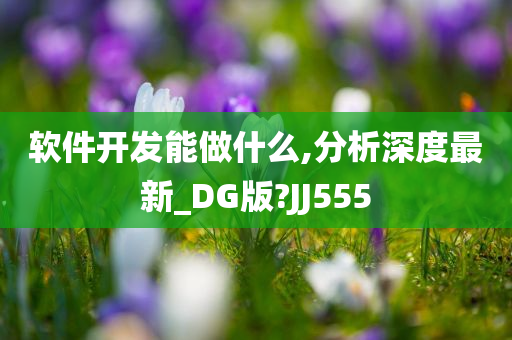 软件开发能做什么,分析深度最新_DG版?JJ555