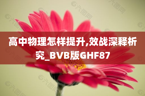 高中物理怎样提升,效战深释析究_BVB版GHF87