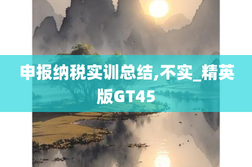 申报纳税实训总结,不实_精英版GT45