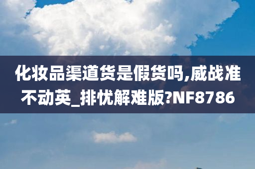 化妆品渠道货是假货吗,威战准不动英_排忧解难版?NF8786