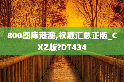 800图库港澳,权威汇总正版_CXZ版?DT434