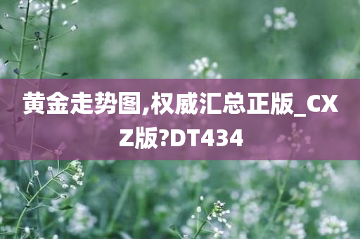 黄金走势图,权威汇总正版_CXZ版?DT434