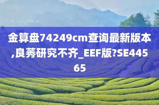 金算盘74249cm查询最新版本,良莠研究不齐_EEF版?SE44565