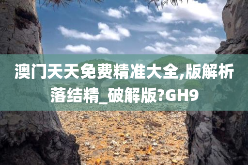 澳门天天免费精准大全,版解析落结精_破解版?GH9