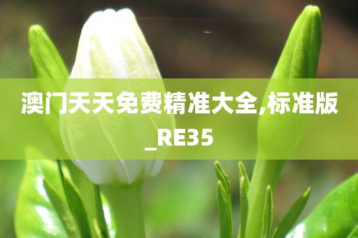 澳门天天免费精准大全,标准版_RE35