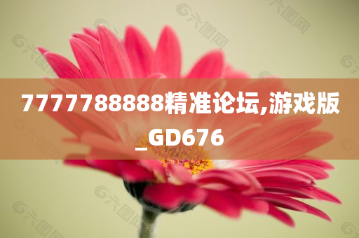 7777788888精准论坛,游戏版_GD676